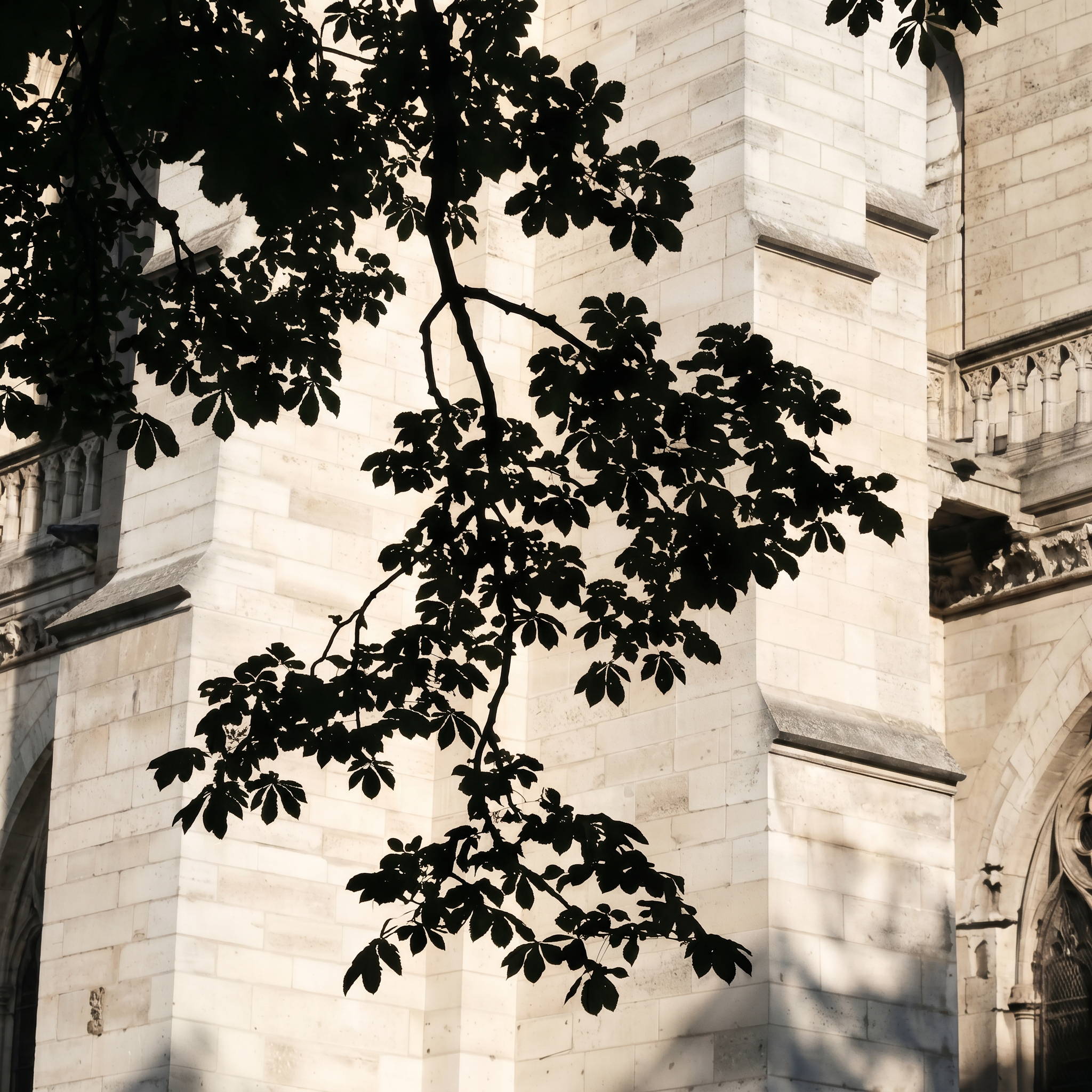 ND_01