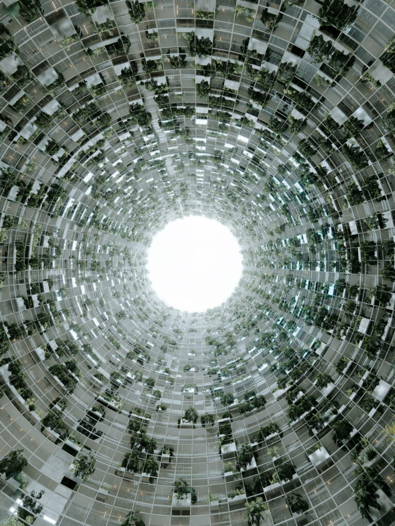 CHANDONG WEB 13