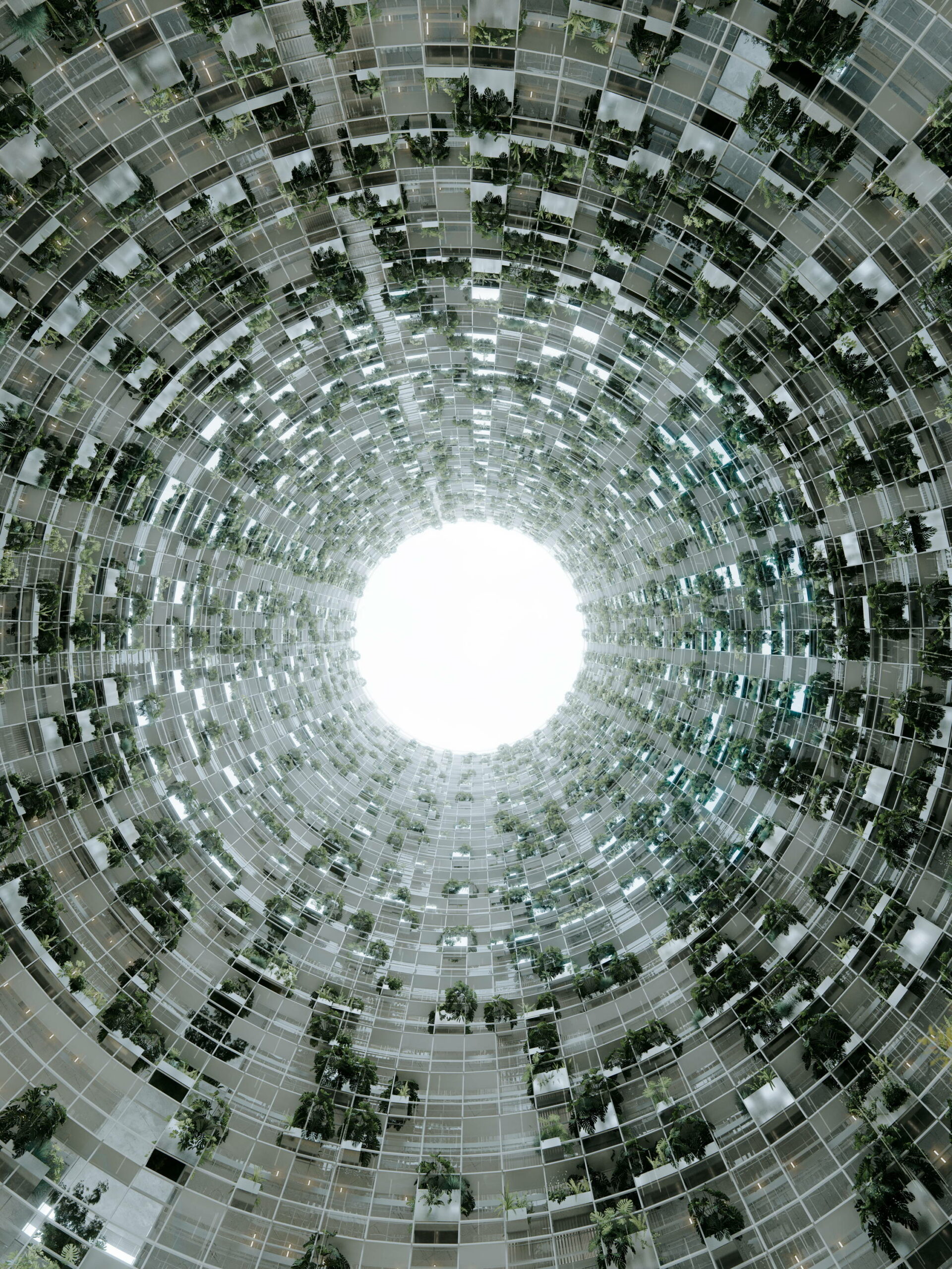 CHANDONG WEB 13