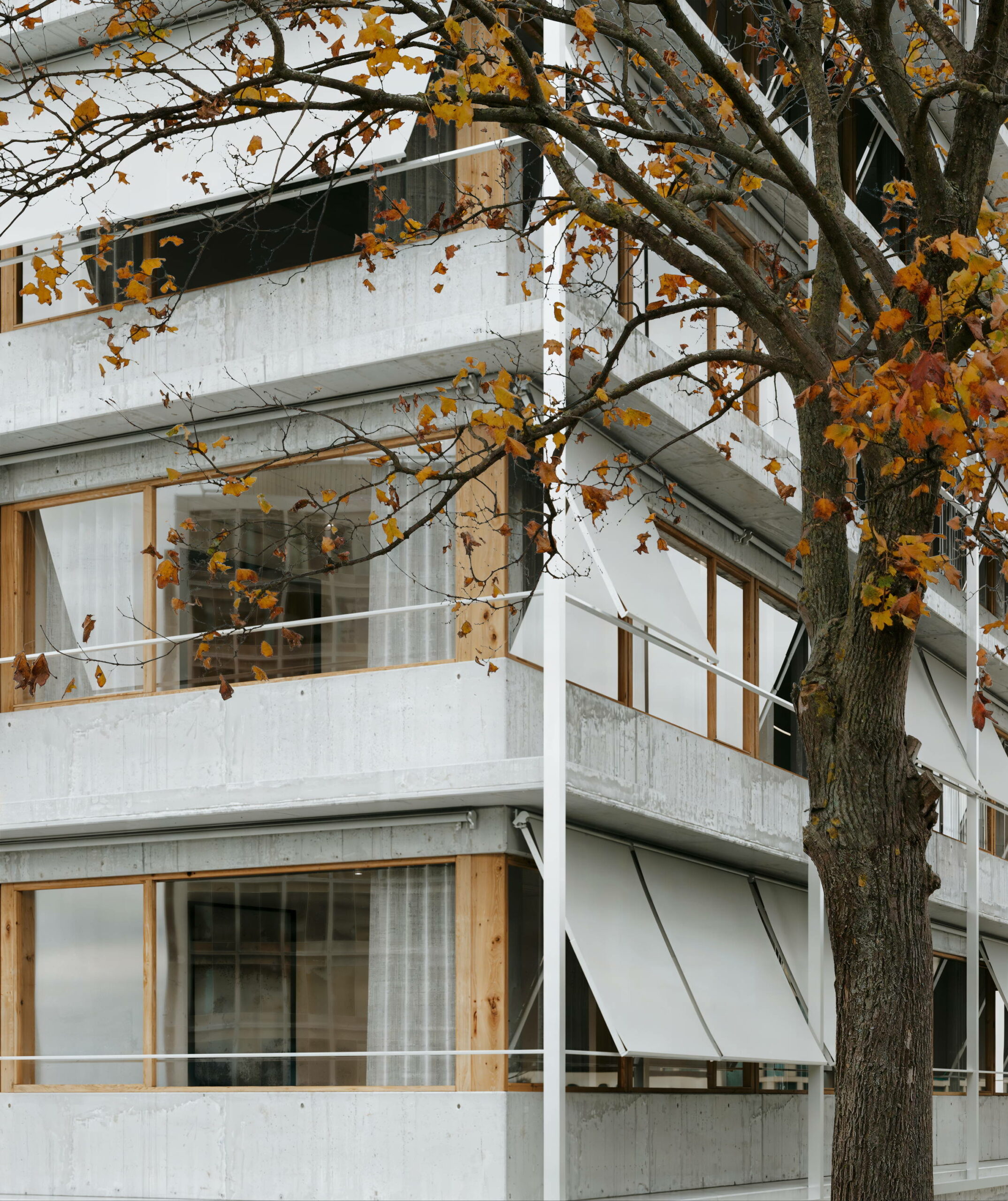PREVIEW WEB 06